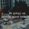 Tunisinannesi