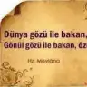 Edves17