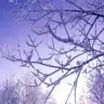 yasminnrmysa