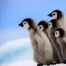 ilknrbrhn