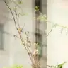 itirazediyorumsayinyargic