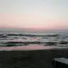 77papatya7
