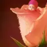 Yazkizi