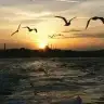 vazgectim281