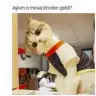Selinn7