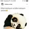 Ynsozlm