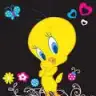 Ozgectky