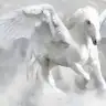 Pegasus_dk
