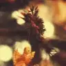 Annelik_heyecani