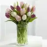 seli28seli