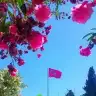 Dilruba91