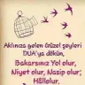 iyidebennapiim