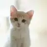 Ayaz99
