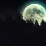 Nights
