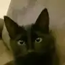 simonin