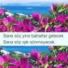 hejammm