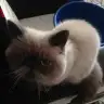 impress