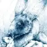 Stardust9