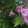 fgdfgdf