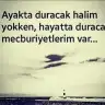volkanesli
