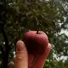 Marleyna