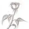 ennur burcin