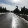 OzGul38