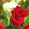 fatmazeynep22