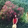 damiletta