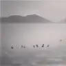 ddvlgn