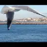 Hayalaleminde