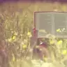 nblsbl