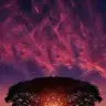 yoren