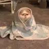 nastygorl