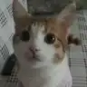 Mehtuba