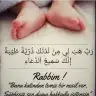 Mss anne