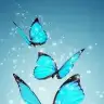 lemonade_85