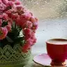 Misirli_Zeynep