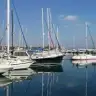 Daphne3509