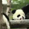 SSleepyy