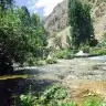 Simge 84
