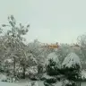 65Laledevri65