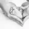 citirtipitirdi
