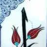 Esma Elif