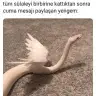 duam25