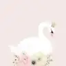 Smyye_