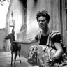 Frida K