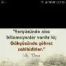 Voultin