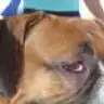 DEHAKO
