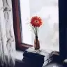 solmusguller